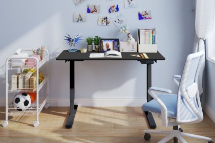 Electric Standing Desk Dual Motor Adjustable Height Desk Home Office Computer Workstation Sit Stand up Desk,48 x 24 Inches (Black Frame + Black T